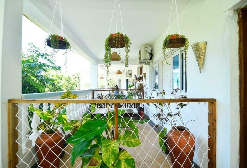 اتاق اکونومی, Tulia House Backpackers