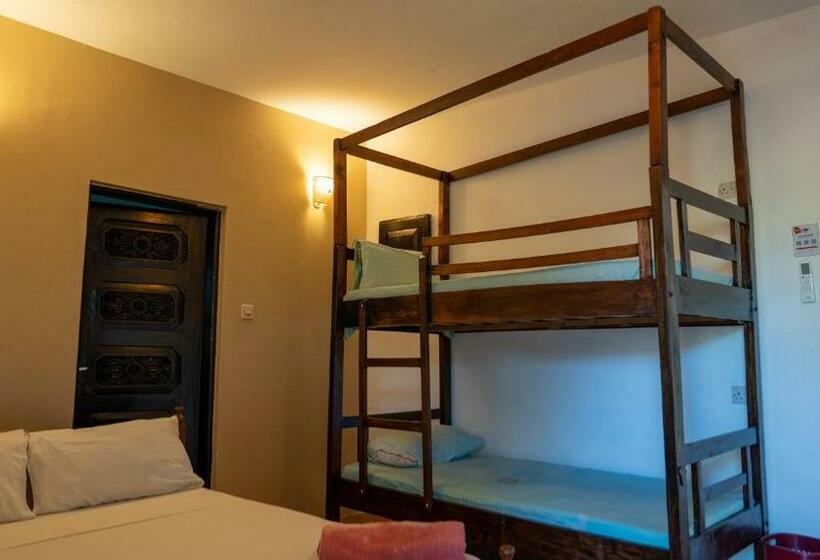 اتاق خانوادگی, Tulia House Backpackers