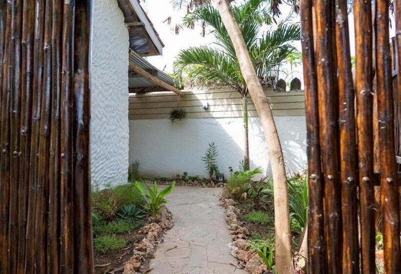 اتاق اکونومی, Tulia House Backpackers