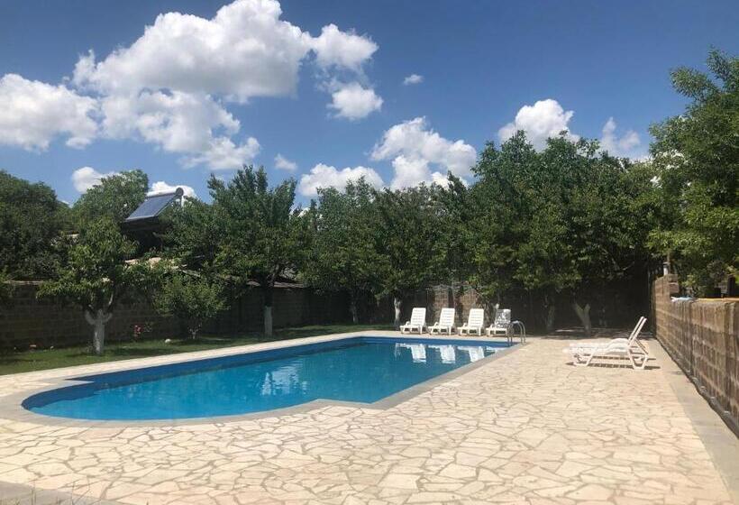Номер Стандарт, Chez Yvette
