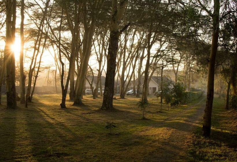 سوییت خانوادگی, Burch S Resort Naivasha