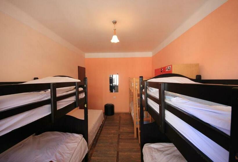 공동 객실, Center Hostel And Tours