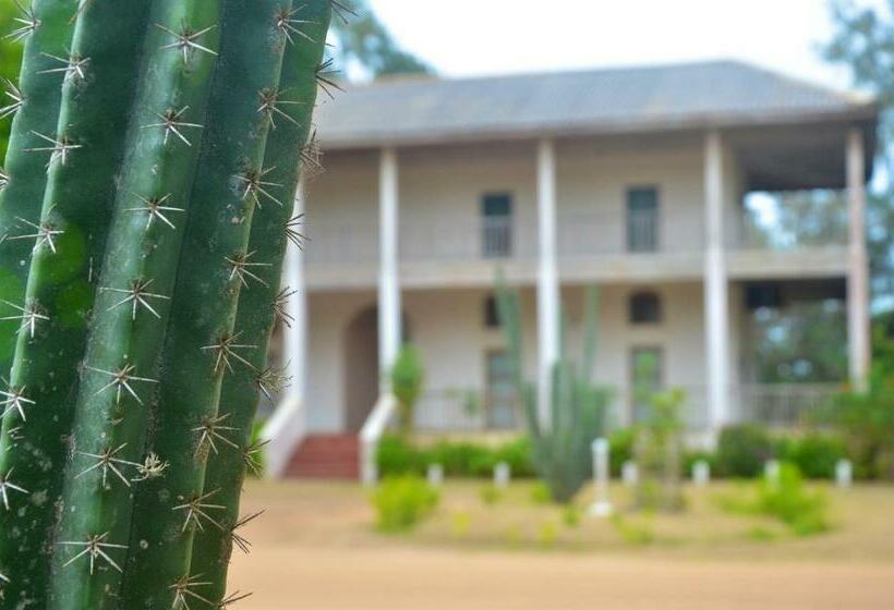 اتاق خانوادگی با چشمانداز دریا, Auberge De Grand Popo