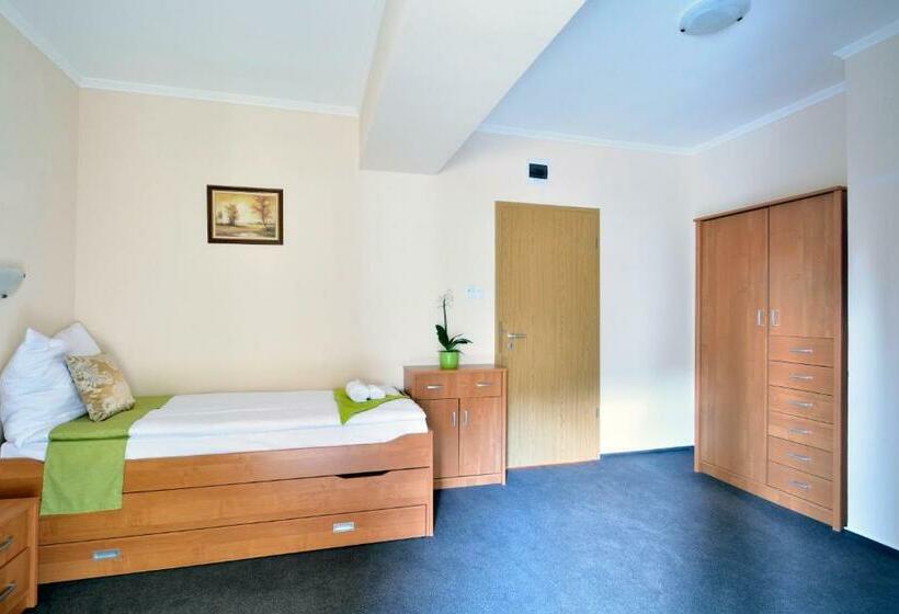 Номер Стандарт Индивидуальный, Viktória Wellness