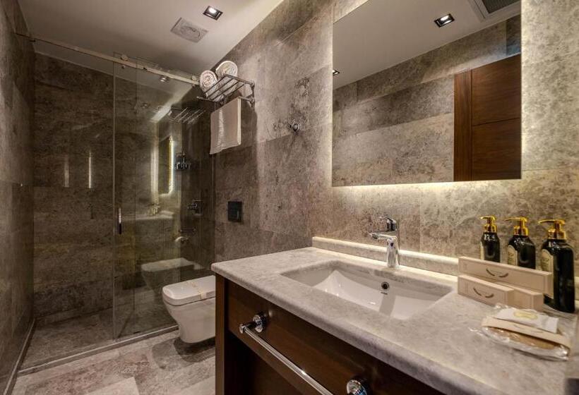 اتاق استاندارد, B İstanbul