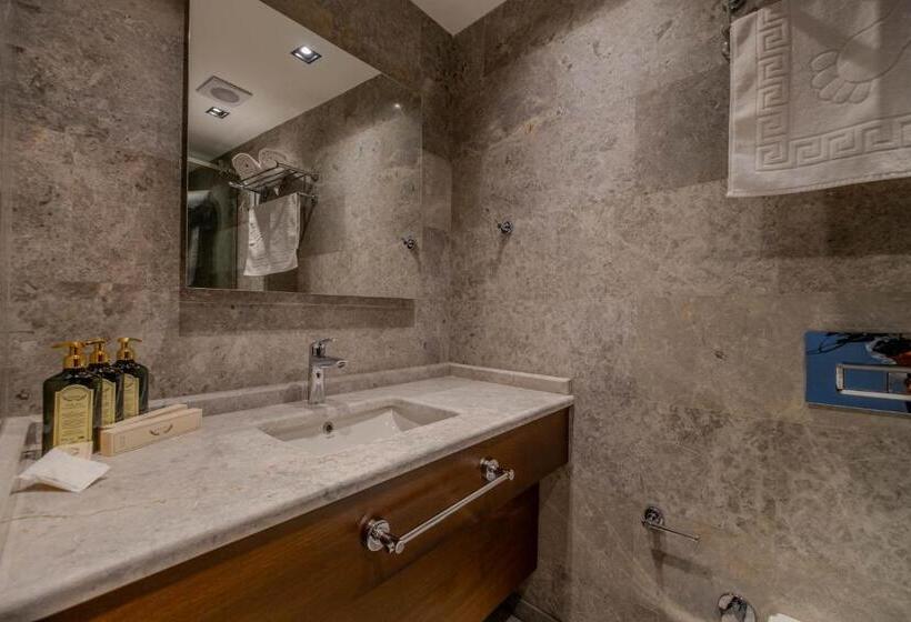 اتاق سوپریور, B İstanbul