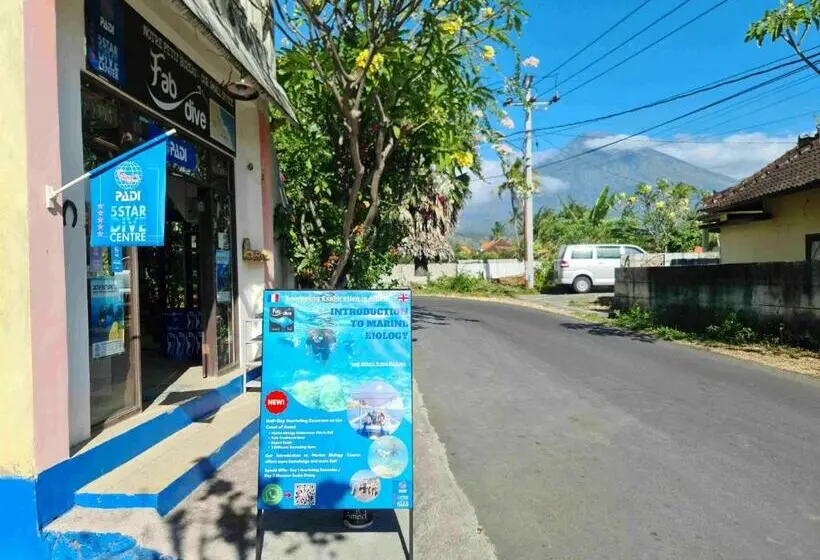 تختخواب در اتاق مشترک, Bali Fab Dive Center