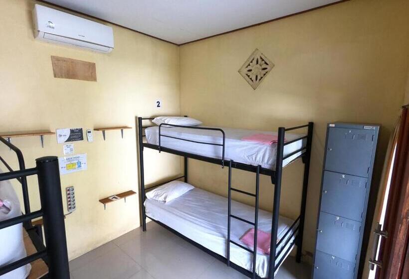 מיטה בחדר משותף, Bali Fab Dive Center