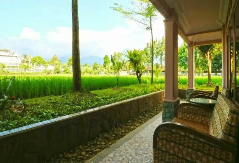 Deluxe Szoba, Aries Biru Resort