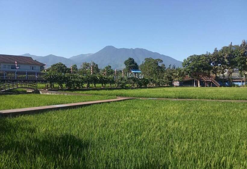 Delüks Oda, Aries Biru Resort