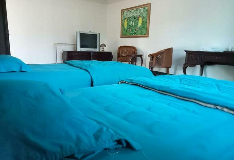 Delüks Oda, Aries Biru Resort