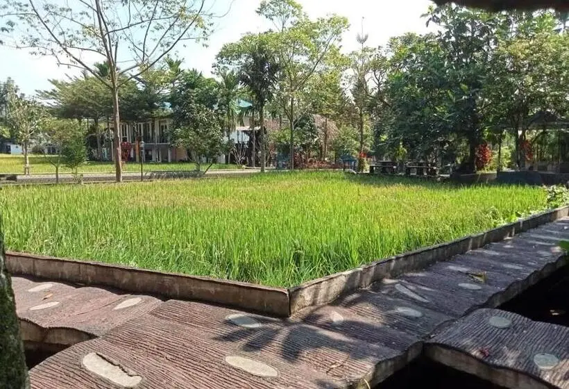 Standard Szoba, Aries Biru Resort