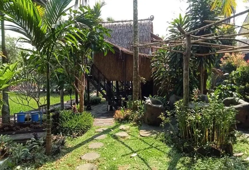 Standard Szoba, Aries Biru Resort