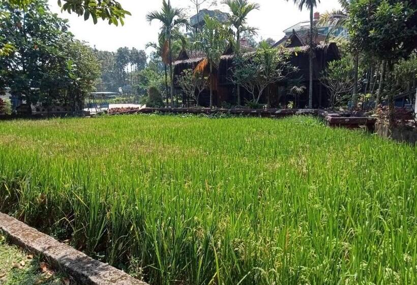 Basic Oda, Aries Biru Resort