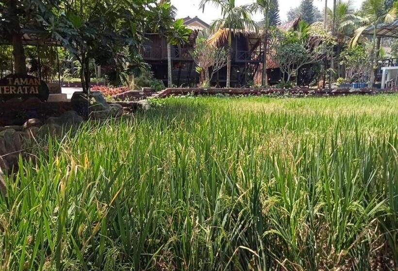 Basic Oda, Aries Biru Resort