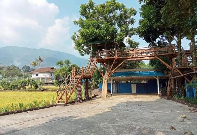 Executive Süit, Aries Biru Resort