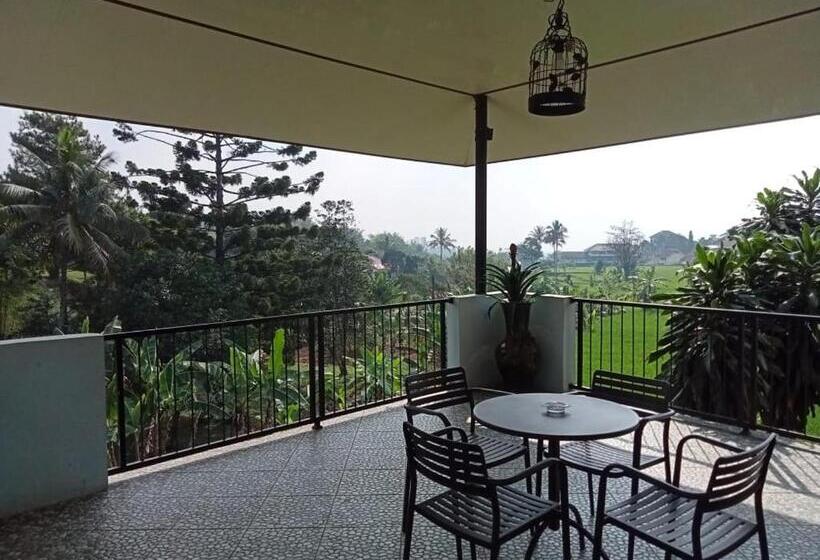 Executive Süit, Aries Biru Resort