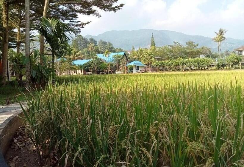 Executive Süit, Aries Biru Resort