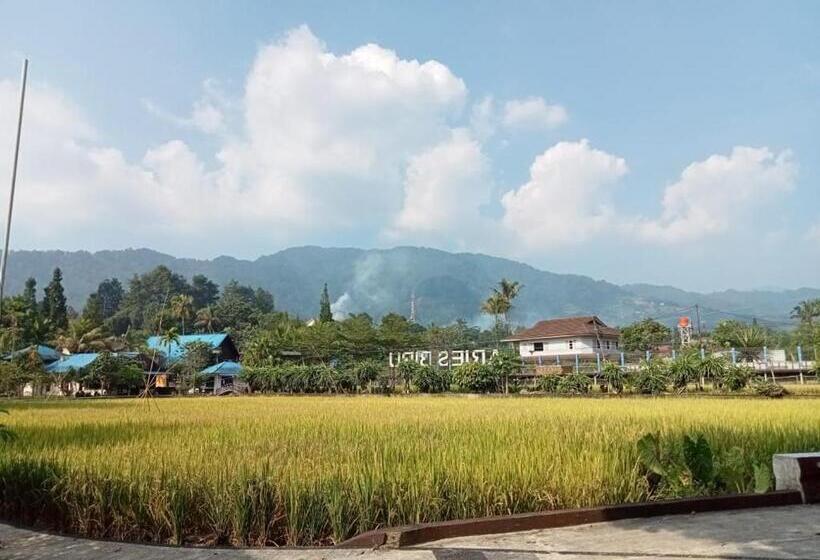 Executive Süit, Aries Biru Resort