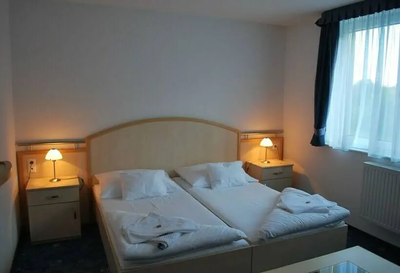 اتاق استاندارد, Főnix Hotel Bükfürdő