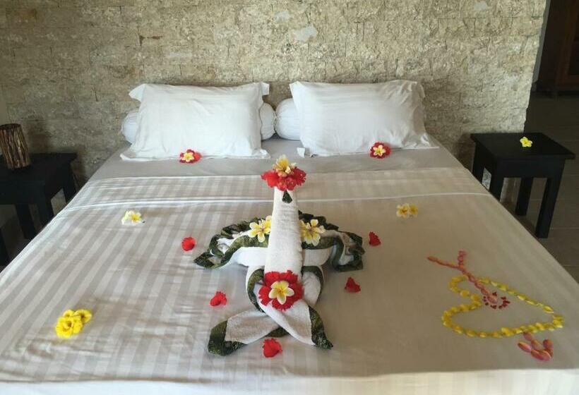 شقة غرفة واحدة, The Hamsa