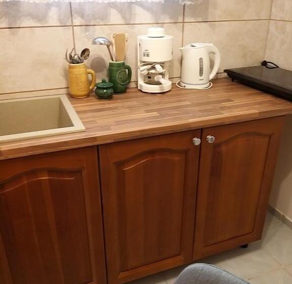 דירת חדר, Magdaléna Panzio