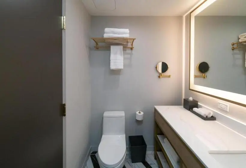 デラックスルーム, Iris Hotel Boston