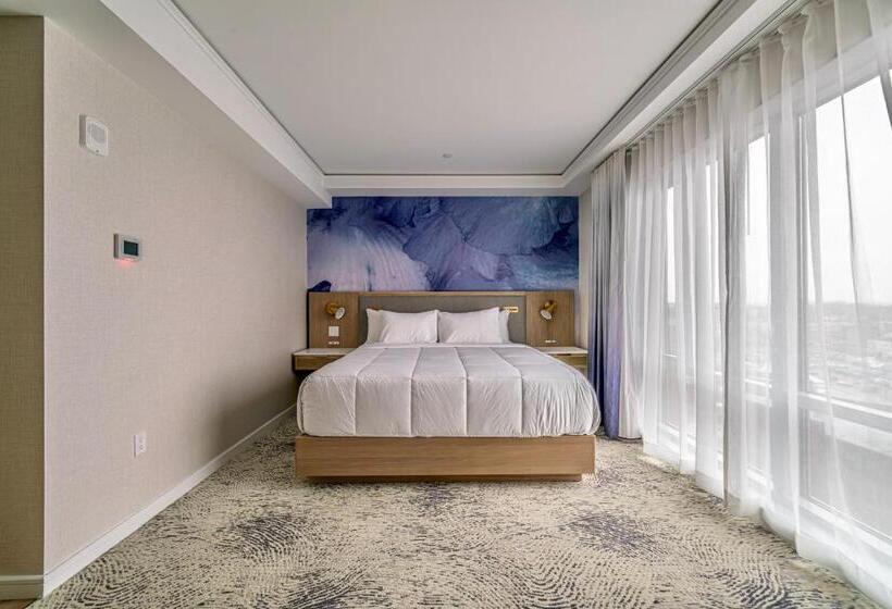 キングサイズベッドのデラックスルーム, Iris Hotel Boston