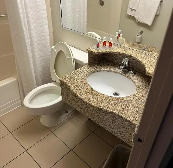 Standard-studio, Red Carpet Inn