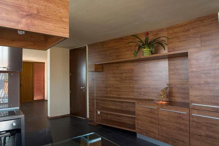 1 Schlafzimmer Penthouse Apartment, Design Hotel Logatero