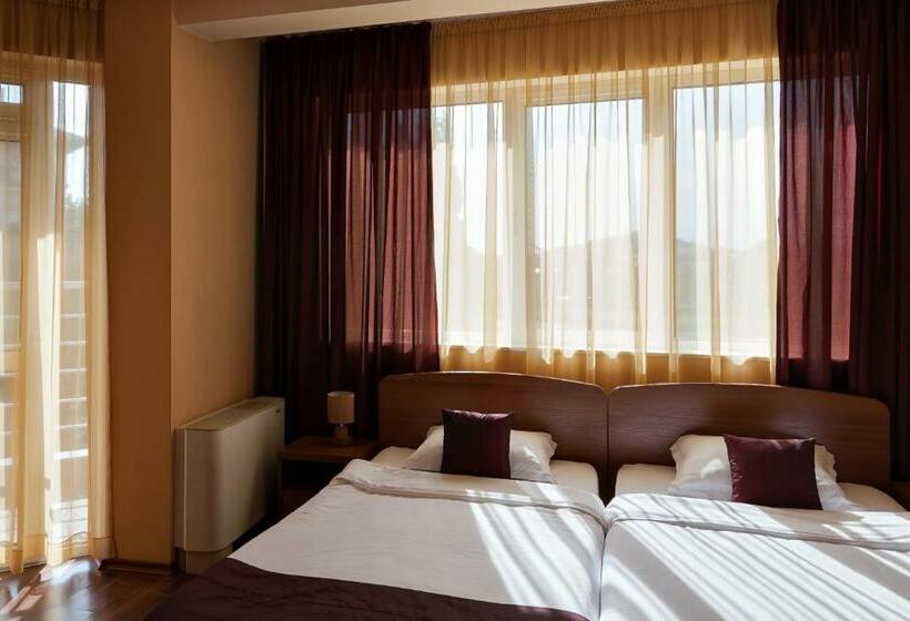 스탠다드 발코니 룸, Family Hotel Gerdjika