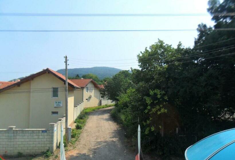 Четырехместный Номер Стандарт, Ankor