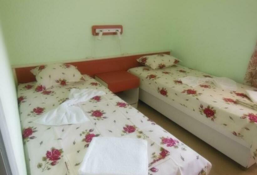 Номер Стандарт, Ankor