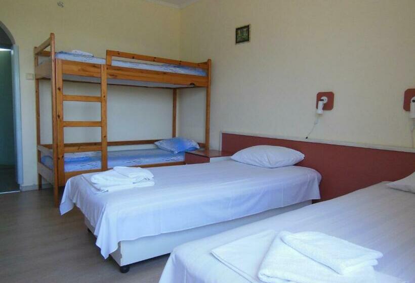 Четырехместный Номер Стандарт, Ankor