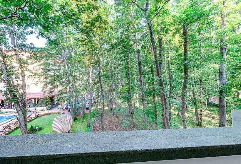 Quarto standard, Elmar