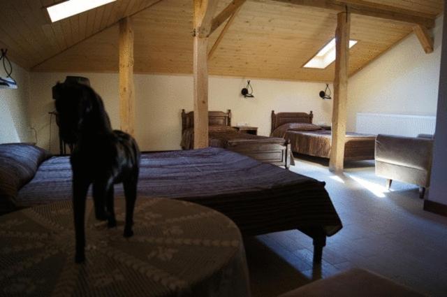 غرفة قياسية, Milkana