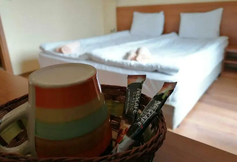 スタンダードルーム, Rusaliite Adventure House
