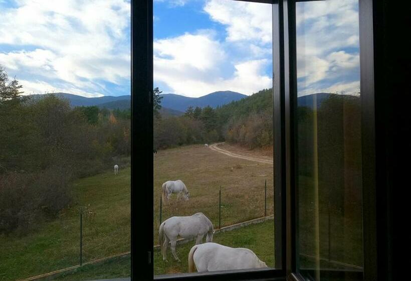 套房, Rusaliite Adventure House