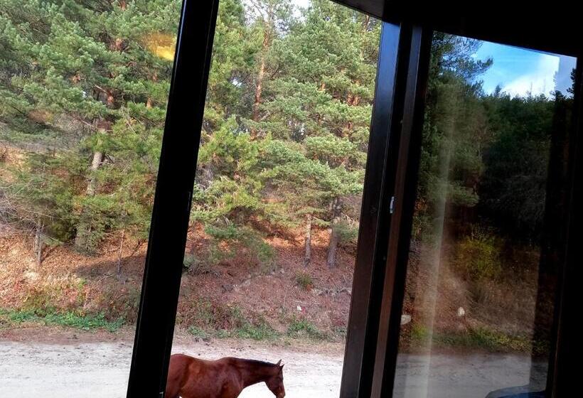 家庭间, Rusaliite Adventure House