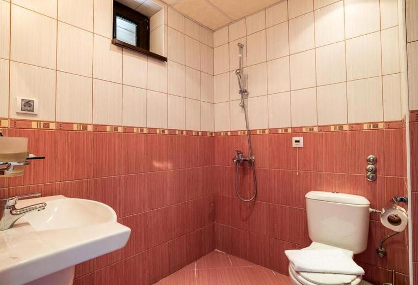 Номер Стандарт Индивидуальный, Rachev Hotel Residence