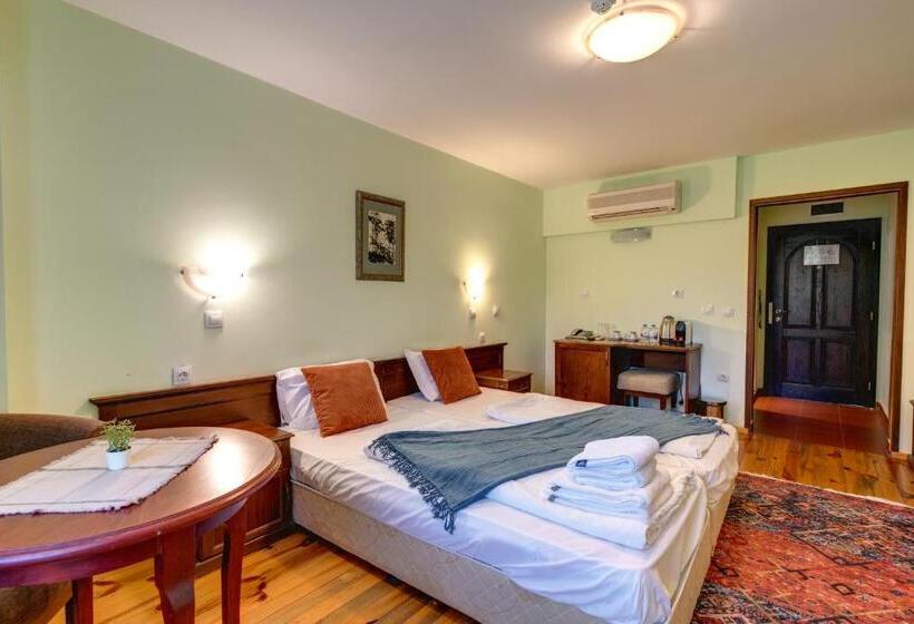 Номер Стандарт Индивидуальный, Rachev Hotel Residence