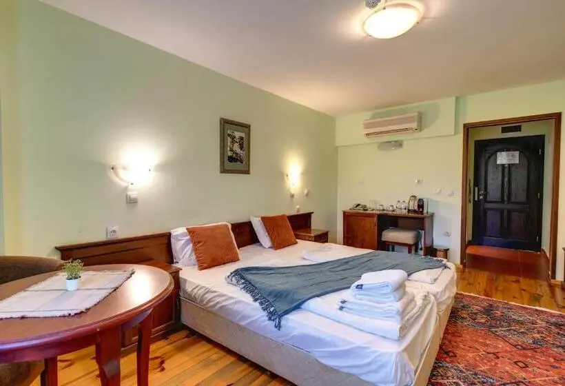 Standard Yhden Hengen Huone, Rachev Hotel Residence