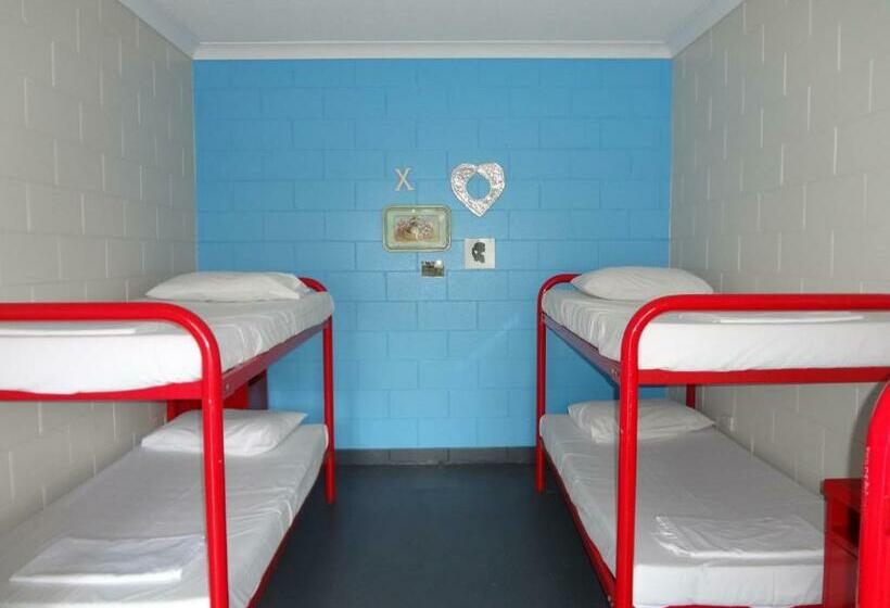 共用房间的床, Adventurers Backpackers