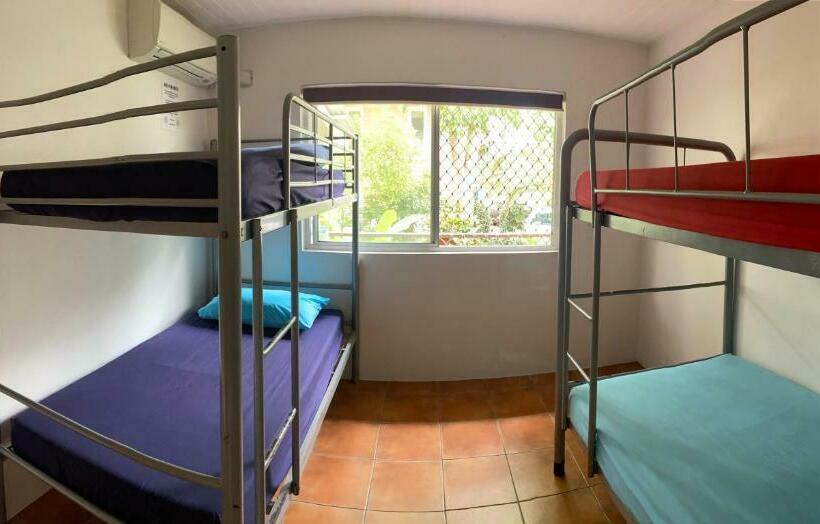 Cama em Quarto Compartilhado, Dolphins Backpackers