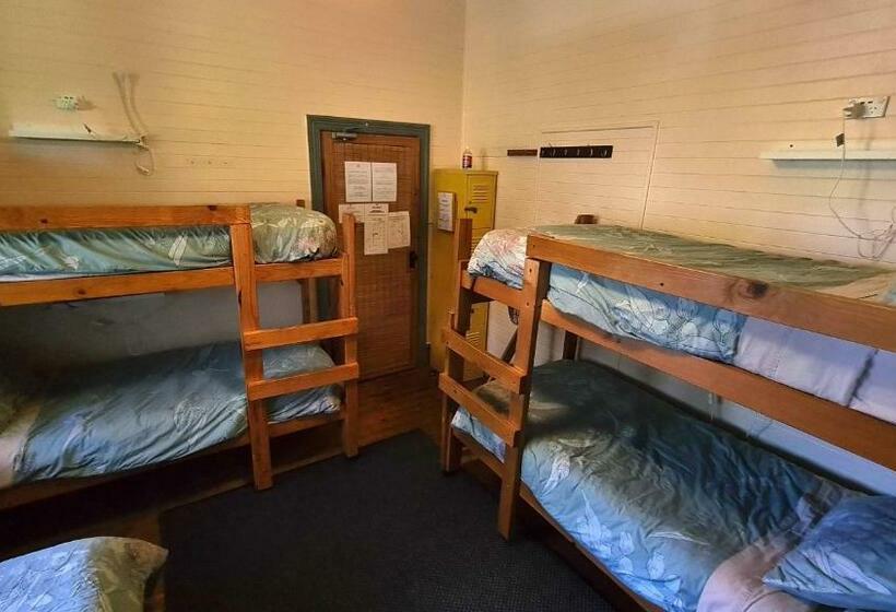 מיטה בחדר משותף, No14 Lovel St