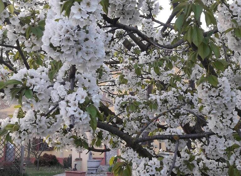 غرفة سوبيريور رباعية, B&b Il Pioppo E La Fonte