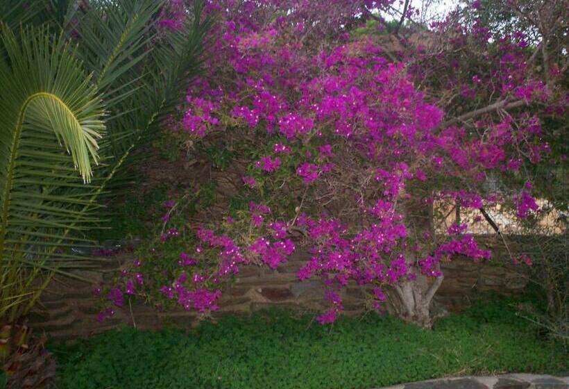 标准房带园景, La Dea Madre