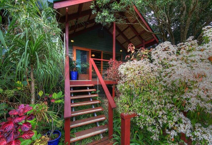 בית, חדר שינה 1, Maleny Tropical Retreat
