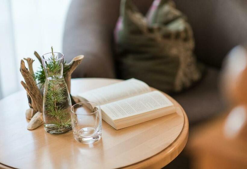 غرفة قياسية مطلة على الجبل, Lärchenhof