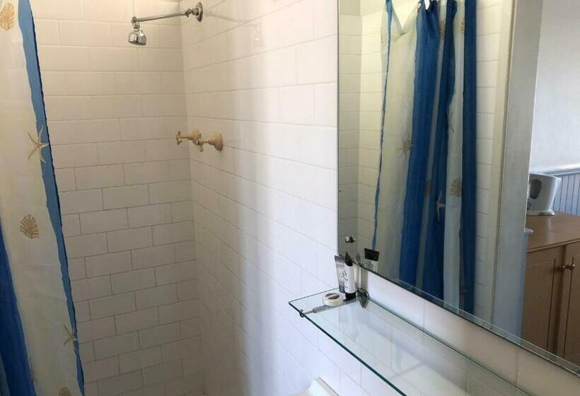 اتاق استاندارد سه نفره, Squid S Ink Motel